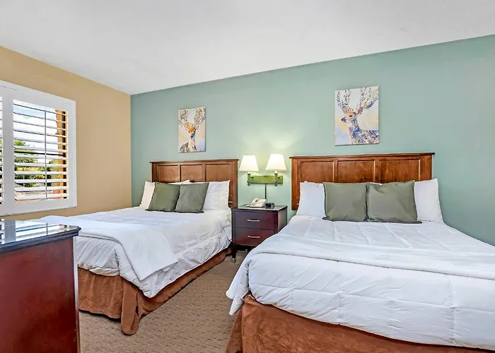 Suite With 2 Queens - Pool & Hot Tub